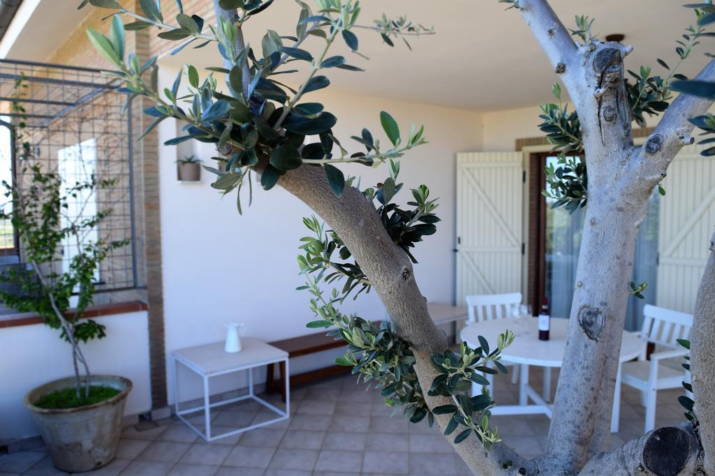 Le Nicchie Guest House Lucera Rum bild